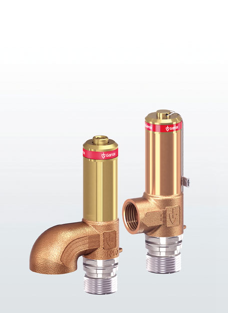 goetze safety valve manufacturer